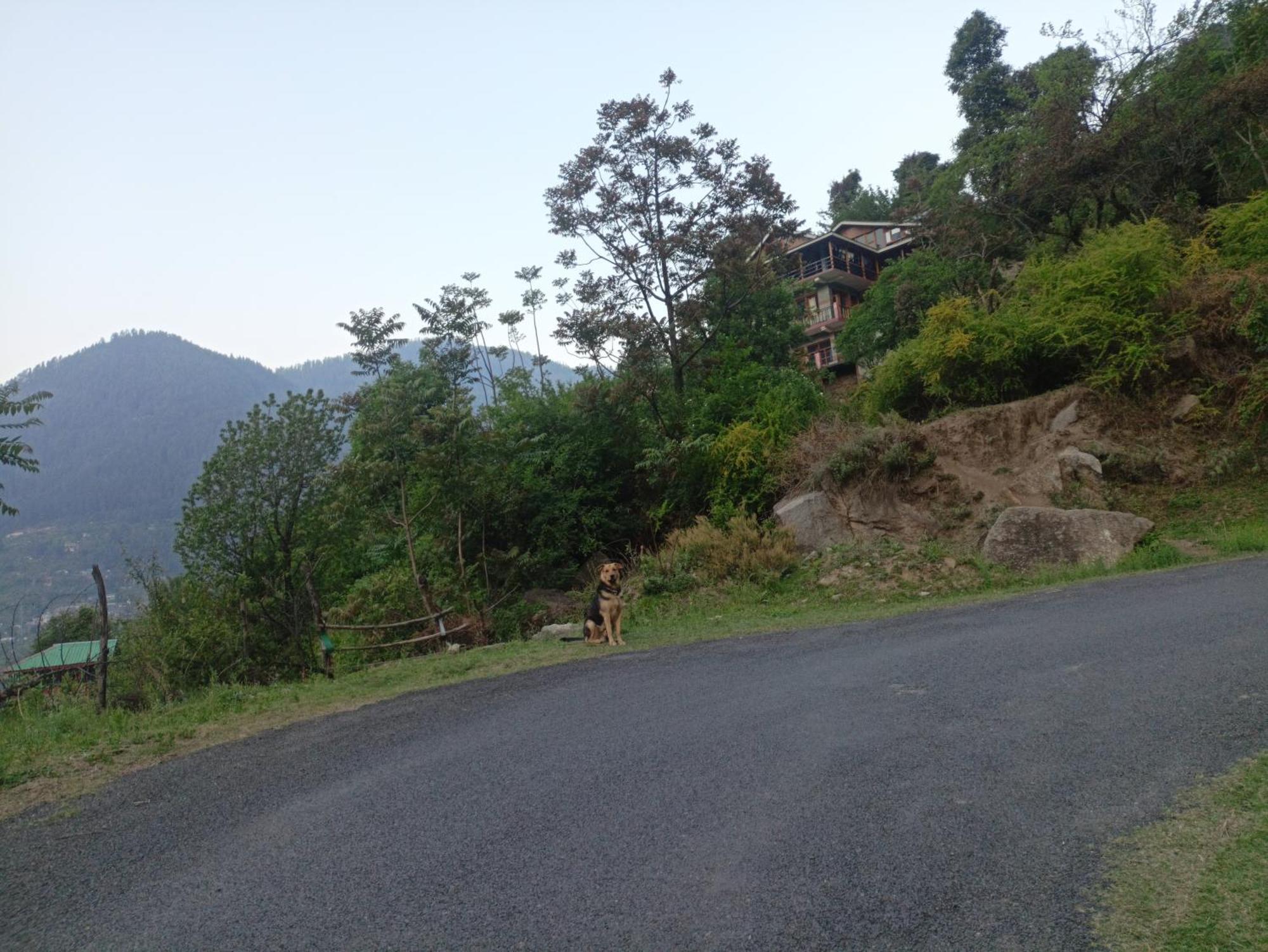 Tirthan Hilltop Home Stay Banjār 外观 照片