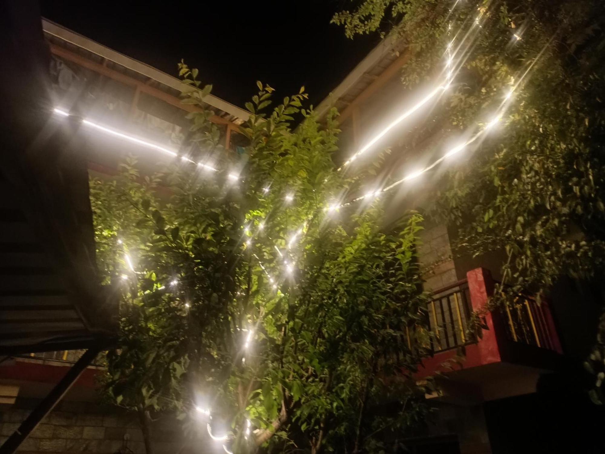 Tirthan Hilltop Home Stay Banjār 外观 照片