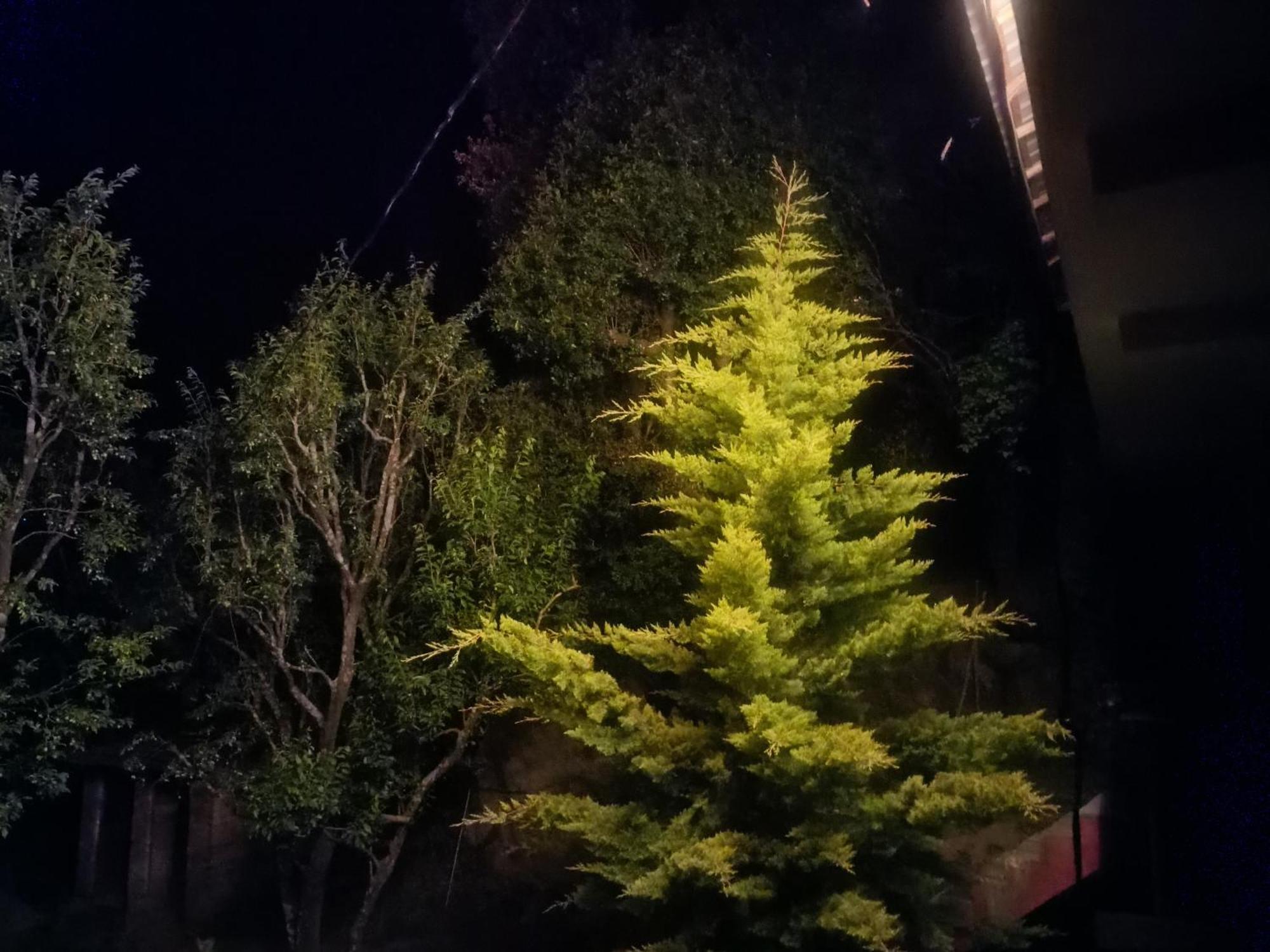 Tirthan Hilltop Home Stay Banjār 外观 照片
